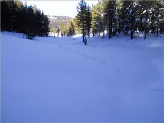 small_123099 steamboatIMG_2625.webp